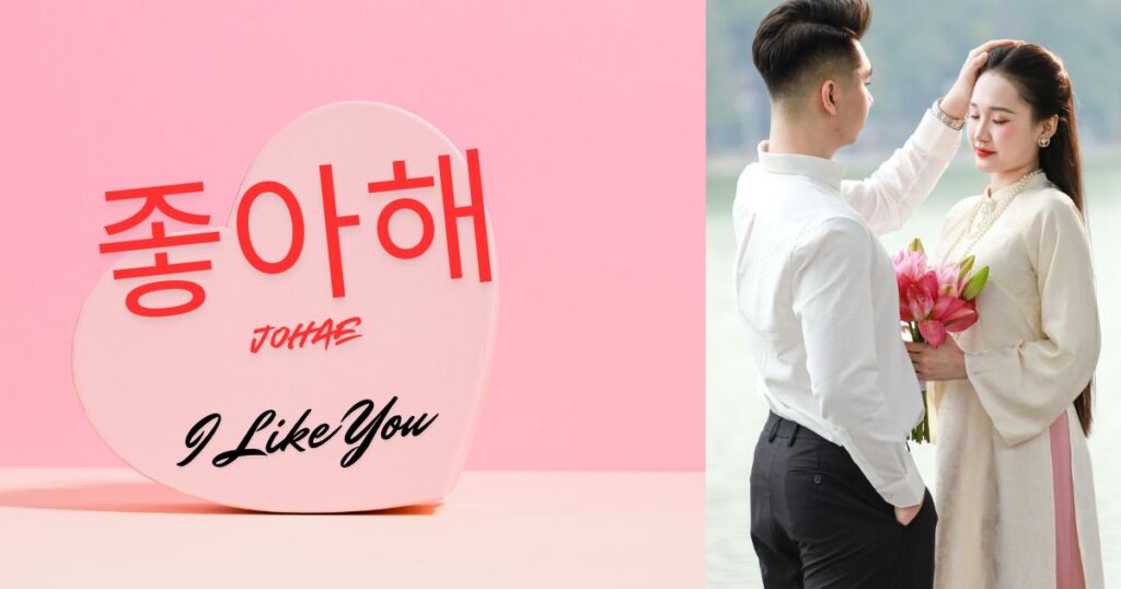 I love you in korean