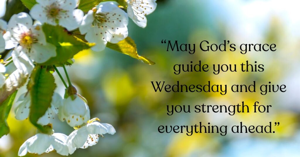 Wednesday Blessings