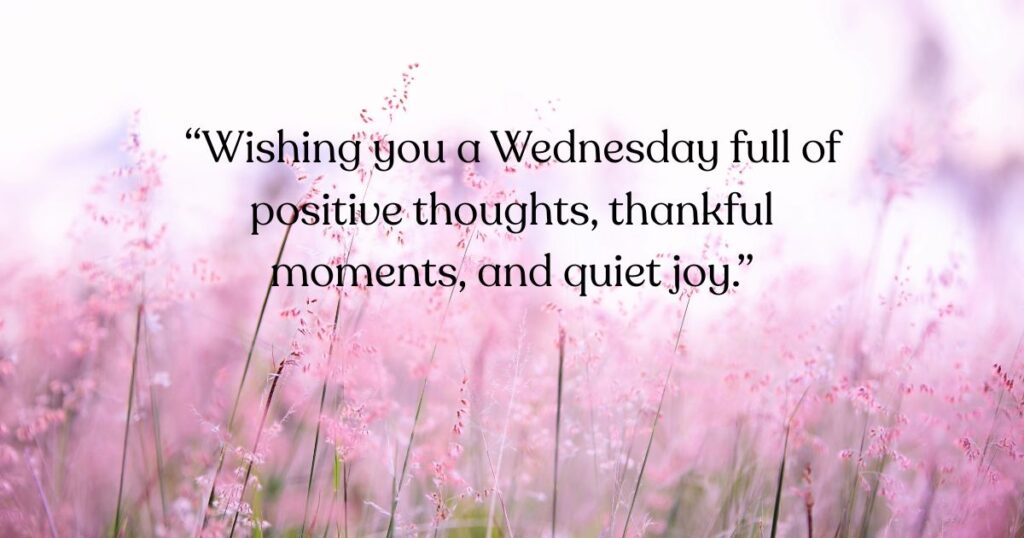 Wednesday Blessings