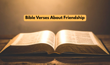 Bible Verses About Friendship