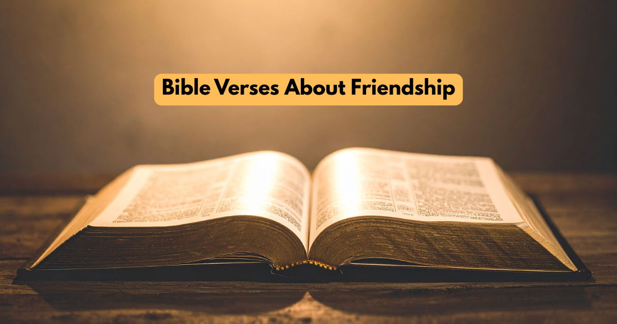 Bible Verses About Friendship